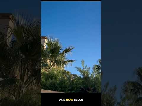 From Rain to Sun: A Christmas Journey 🌧️✈️☀️🎄