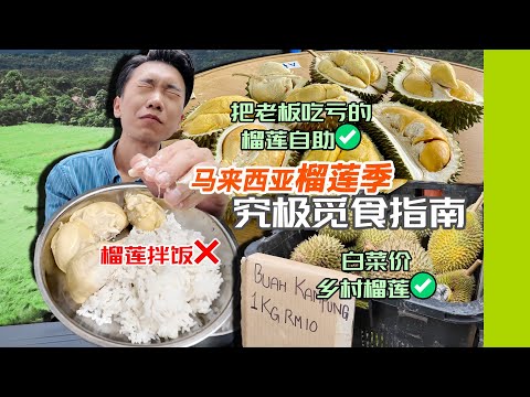 拿来下饭都不心疼的榴莲季！马来西亚槟城榴莲究极觅食指南
