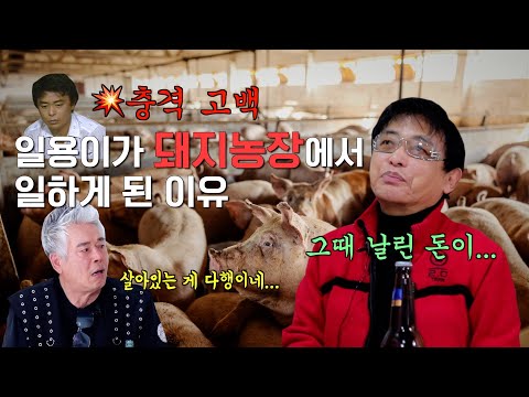 전원일기 일용이가 돼지농장에 갈 수밖에 없었던 이유ㅣ전원일기 레전드 일용이 박은수 등판!ㅣ클레먹타임 EP15