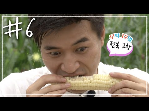[무박 n일🦉밤샘 방구석 여행🍖][전라도] #6 전북 고창, 농활 체험 | KBS 110710, 17 방송