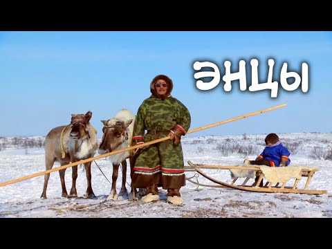 Народ, говорящий на одном из редчайших языков мира. Как живут ЭНЦЫ