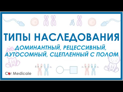 Типы наследования: доминантный, рецессивный, аутосомный, сцепленный с полом