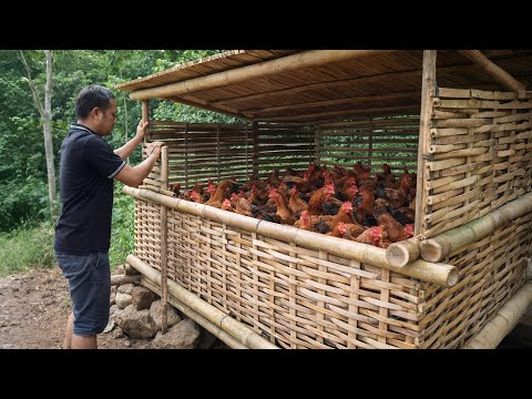 Man Upgrades His Giant Bamboo Chicken Coop by Hand in the Jungle | Start to Finish