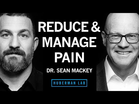Tools to Reduce & Manage Pain | Dr. Sean Mackey