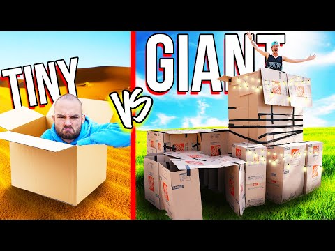 Tiny VS GIANT Box Forts Challenge!