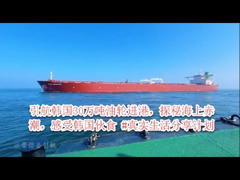 引航韩国31万吨油轮进港，遭遇海上赤潮，探秘韩国船员伙食与超级油轮靠泊全过程 #引航员 #赤潮 #真实生活分享计划