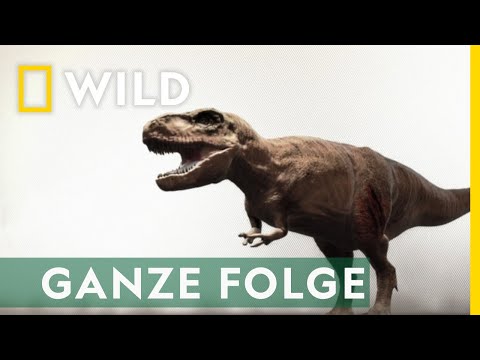 T-Rex Trauma - Ganze Folge | Jurassic C.S.I.