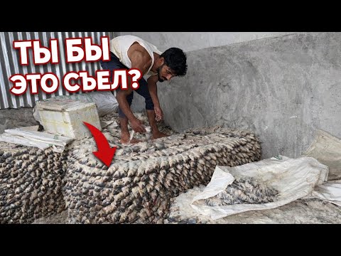 THE DIRTIEST FISH IN THE WORLD 😱 How They Cook It in Bangladesh 🇧🇩