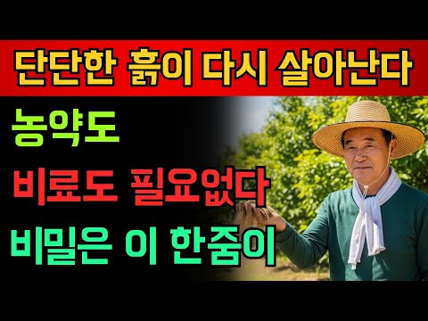 메마른 흙에는 이것만 뿌리세요 흙이 놀랄 만큼 달라집니다 농약도 화학비료도 필요 없습니다