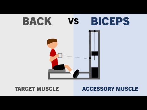 How Much Growth do Accessory Muscles Get from Compound Lifts?