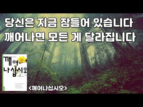 당신은 이미 그 여정을 시작했습니다 [깨어나십시오] 앤소니 드 멜로