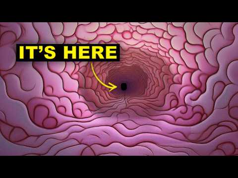 The Deepest Anyone Has Ever Gone Into Their Own Mind