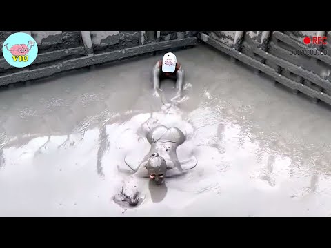 Incredible Moments Caught on Camera #124