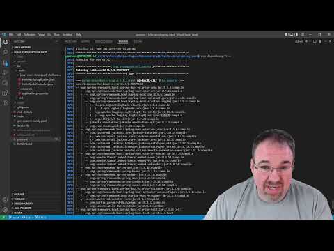 Finding and Remediating Vulnerabilities with Maven Dependency Management