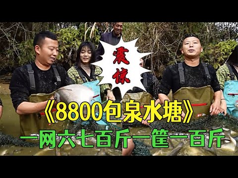 The owner spent 8800 yuan to lease a spring-fed pond that hadn't dried up in over 20 years. One n...