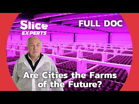 Urban Agriculture : the Rise of Vertical Farms | SLICE EXPERTS | FULL DOCUMENTARY