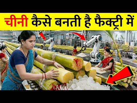 जानिए गन्ने से चीनी कैसे बनती है ? | How Sugar Made In Factory