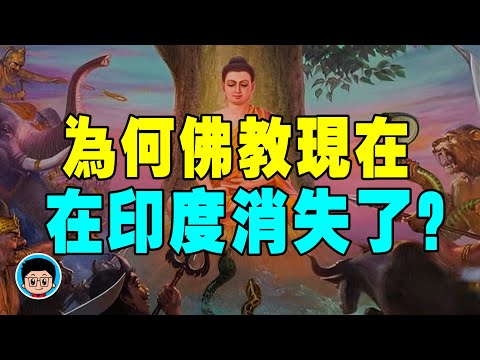 佛教起源 於 印度 ,為什麼會敗給 印度教 ?還把 佛教 當死敵?種姓制度 的恐怖! 宗教 宗教史 佛教史 佛教思想 佛教歷史 佛教故事 世界史 历史 佛教文化 种姓制度 宗教改革 宗教历史 宗教歷史