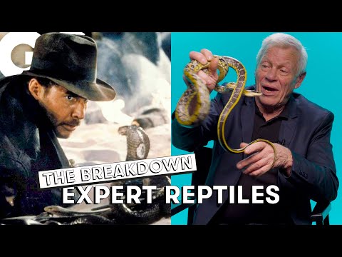Indiana Jones, Anaconda, Bullet Train…Philippe Gillet décrypte les scènes de serpents au cinéma | GQ