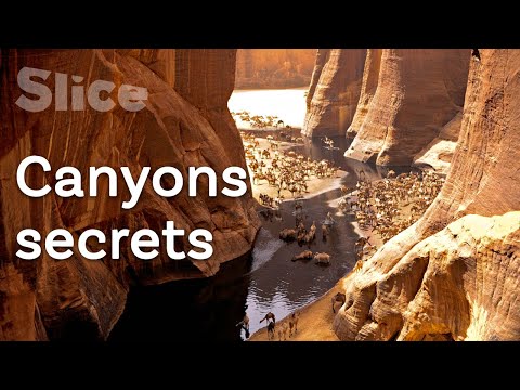 Le massif de l'Ennedi : Un eden caché au Sahara I SLICE