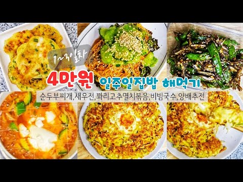 식비절약!!] 4만원으로 일주일 집밥해먹기!!🍱|1~3일차| 재료비 실화😱 진짜 알뜰살뜰!! 다양한 메뉴로 준비했어요 | 비빔국수, 양배추전이 미쳤어요