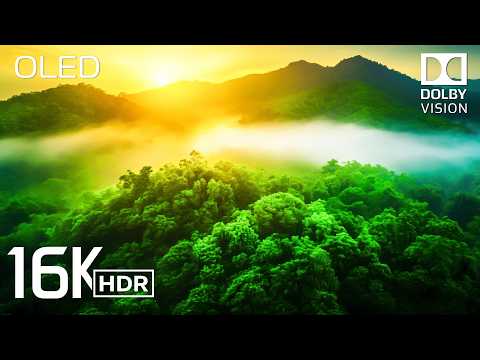 Best of 16K HDR Video - INSANE Dolby Vision (8K / 4K Video TV TEST)