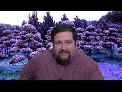 How to avoid responsibility