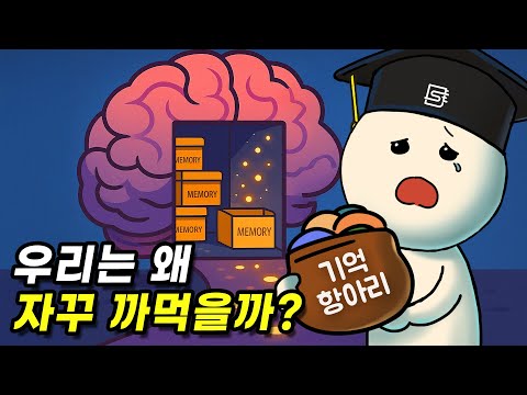 왜 사람은 어떤 건 기억하고, 어떤 건 잊어버릴까?
