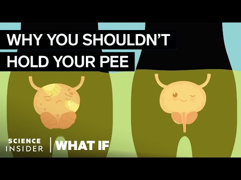 What Happens If You Hold Your Pee In For Too Long