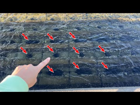 수상해보이는 구멍속에서 밤이되자 엄청난 것들이 기어나옵니다 ㄷㄷ