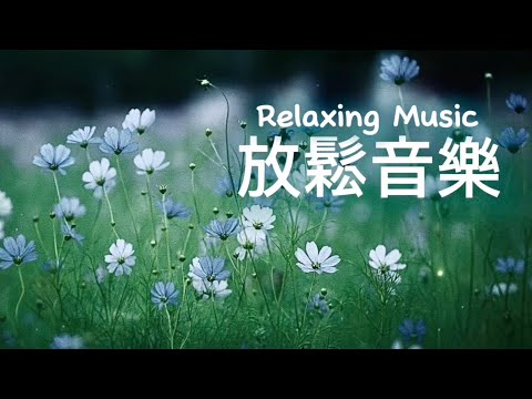 放鬆音樂Relaxing Music | 野花在光中盛放，在風中搖曳生姿，優雅旋律如淡淡清香，沁人心脾，放鬆溫柔的輕音樂｜#輕音樂 #早晨音樂 #放鬆 #冥想 #睡眠 #softmusic 
