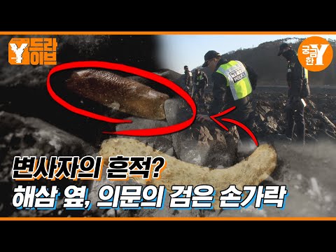 해삼 줍다 발견한 의문의 검은 손가락🖐️ | Y드라이브