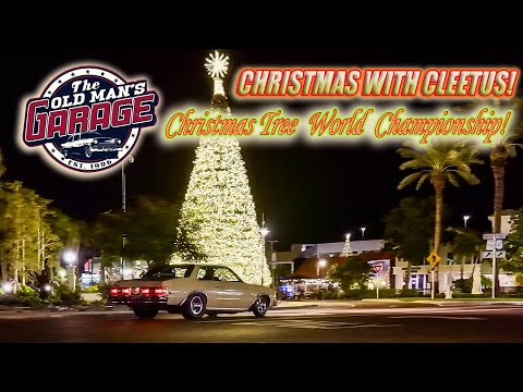 CHRISTMAS LIGHTS & PALM TREES! @CleetusM Xmas Tree Race Weekend in FLORIDA! 