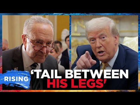 Schumer TAKES VICTORY LAP After Trump Goes On TIRADE, Nominee Confirmation Deal BLOWS UP | RISING