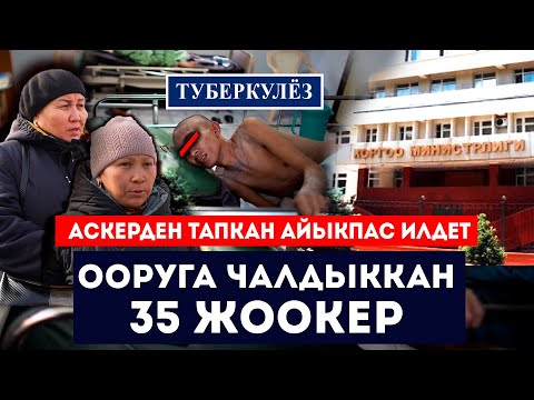 ООРУГА чалдыккан 35 ЖООКЕР // Аскерден тапкан айыкпас илдет // Сокол Медиа