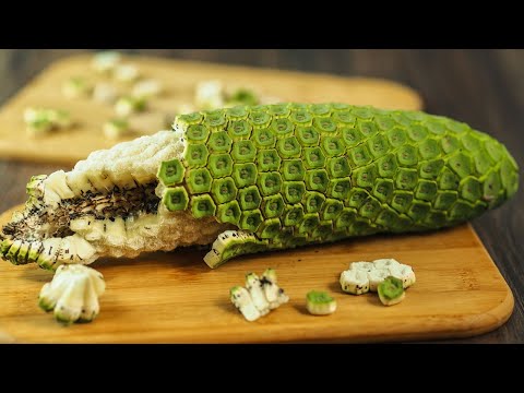 ▽ The most amazing plants on the planet