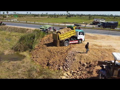 New Activity.! Technique! Dump Trucks 5T And MITSUBISHI Dozer filling Flooded land Next to the road.