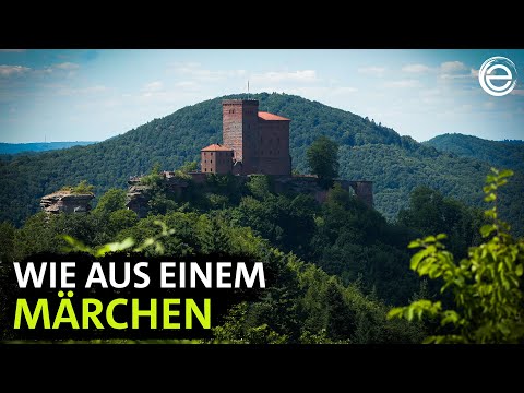 Wild Germany – The Palatinate Forest | Experience Earth