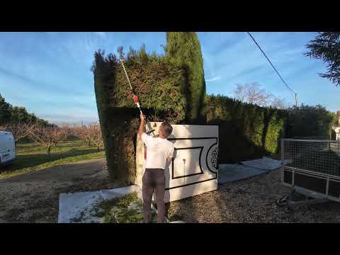 Taille de haie contre la montre avant l'orage.. Avant/Après