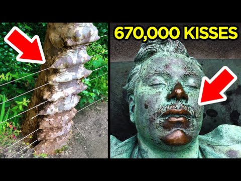 The Power of Time - Part 6