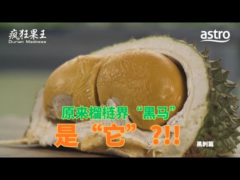 原来“它”比猫山王还要贵！榴梿界“黑马”称霸市场秘密曝光 ｜《疯狂果王》 Durian Madness EP3