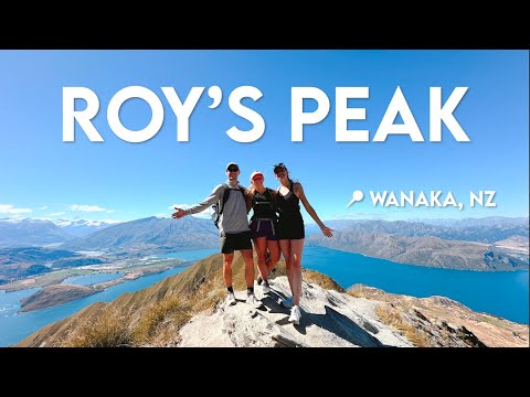 New Zealand VLOG - What It's Like to Hike Roy's Peak in Wanaka