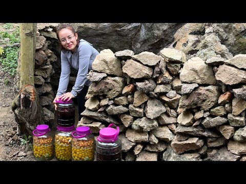 How to make a natural stone cellar to preserve strawberry wine & go to the market to sell vegetables