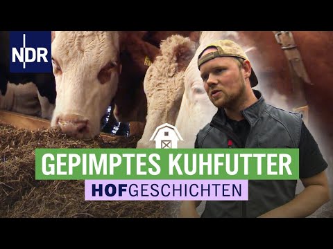 Futter ohne Qualität: der Regen sorgt für Stress | Hofgeschichten: Leben auf dem Land (243) | NDR