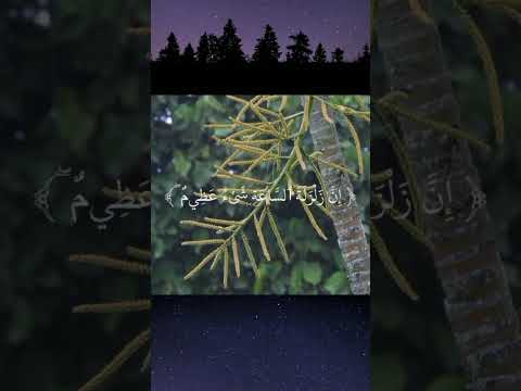 ان لله وان اليه راجعون سبحانك اللهم وبحمدك اشهد ان لا اله الا الله محمد رسول الله #قران_كريم