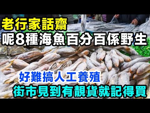 老行家話齋，呢8種海魚幾乎係百分百野生，好難搞人工養殖，街市見到有靚貨就記得買喇。#健康你要知 #街市買餸攻略 #食得健康 #養生唔好中伏 #飲食要清淡 #你唔知的營養知識 #廚房智慧 #食物真相揭秘