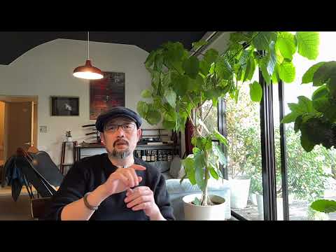 聊个长的：神文《人妻约会指南》——AI时代的母猴子与AI时代的公猩猩｜李新野｜