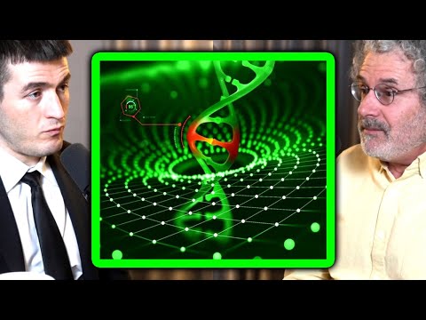 The deepest question: Who designed life on Earth? | Neil Gershenfeld and Lex Fridman