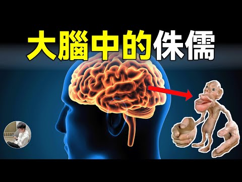 這個侏儒才是真實的你，幻肢症，戀足癖可怕的真相，人類最神奇的器官