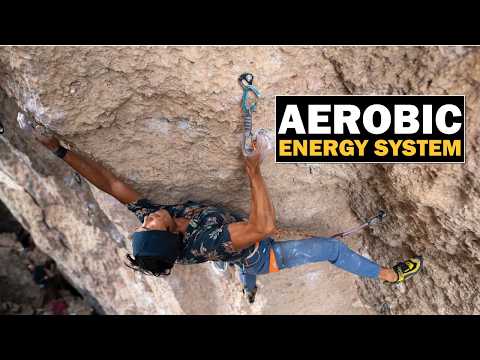 Stop Pumping Out Early: Master Aerobic Training for Climbers
